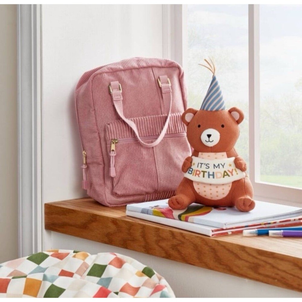 Pillowfort Milestone Happy Birthday Bear